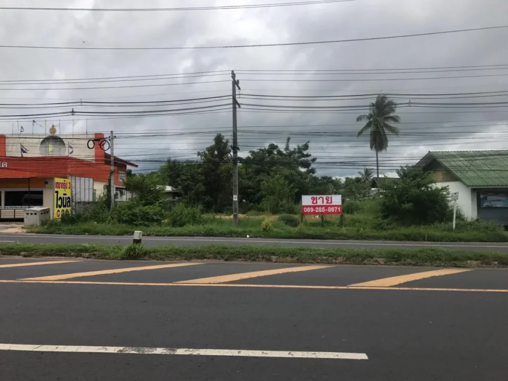 ทีดินติดถนนใหญ่ใกล้ตลาดเจริญศรี