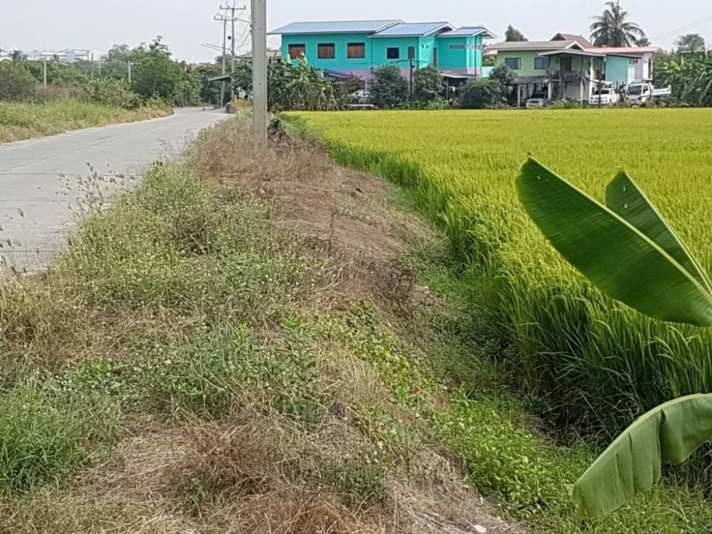 ขายที่ดินทำเลดี 60 ไร่ ริมทางรถไฟสายเหนือ หลัง มธรรมศาสตร์รังสิต