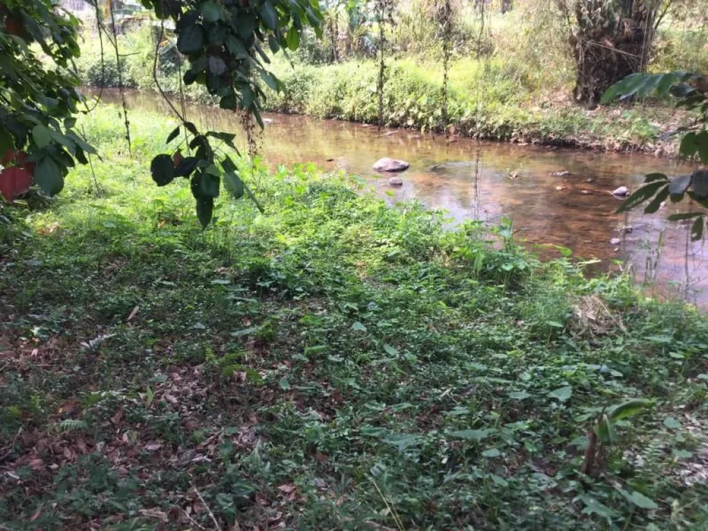 ขายที่ดินดอยสะเก็ตห่างถนนหลัก 300 เมตร