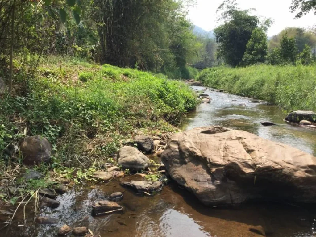 ขายที่ดินดอยสะเก็ตห่างถนนหลัก 300 เมตร