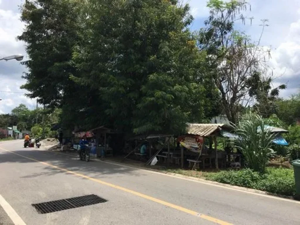 ขายที่ดินจังหวัดตรังติดถนนใหญ่ควนขนุน 105 วา ติดถนนควนขนุน อเมืองตรัง จตรัง