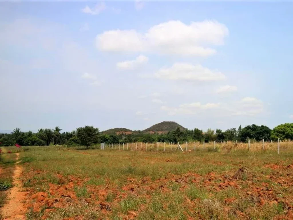 ขายที่ดินปราณบุรี - หนองใหญ่