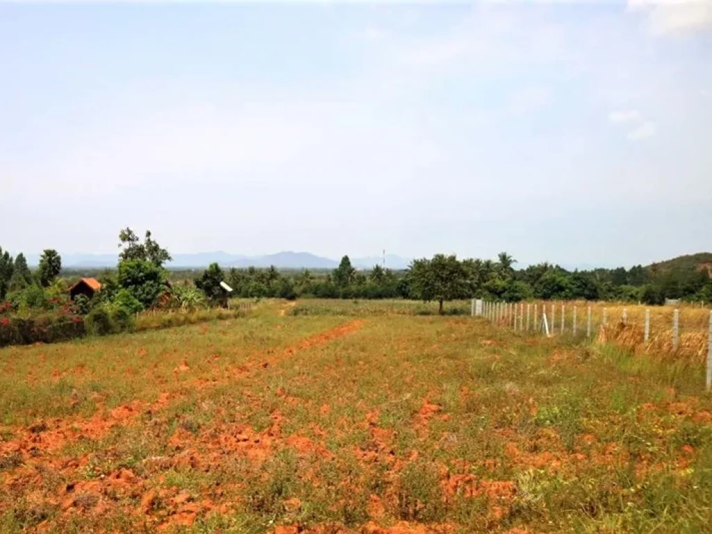 ขายที่ดินปราณบุรี - หนองใหญ่