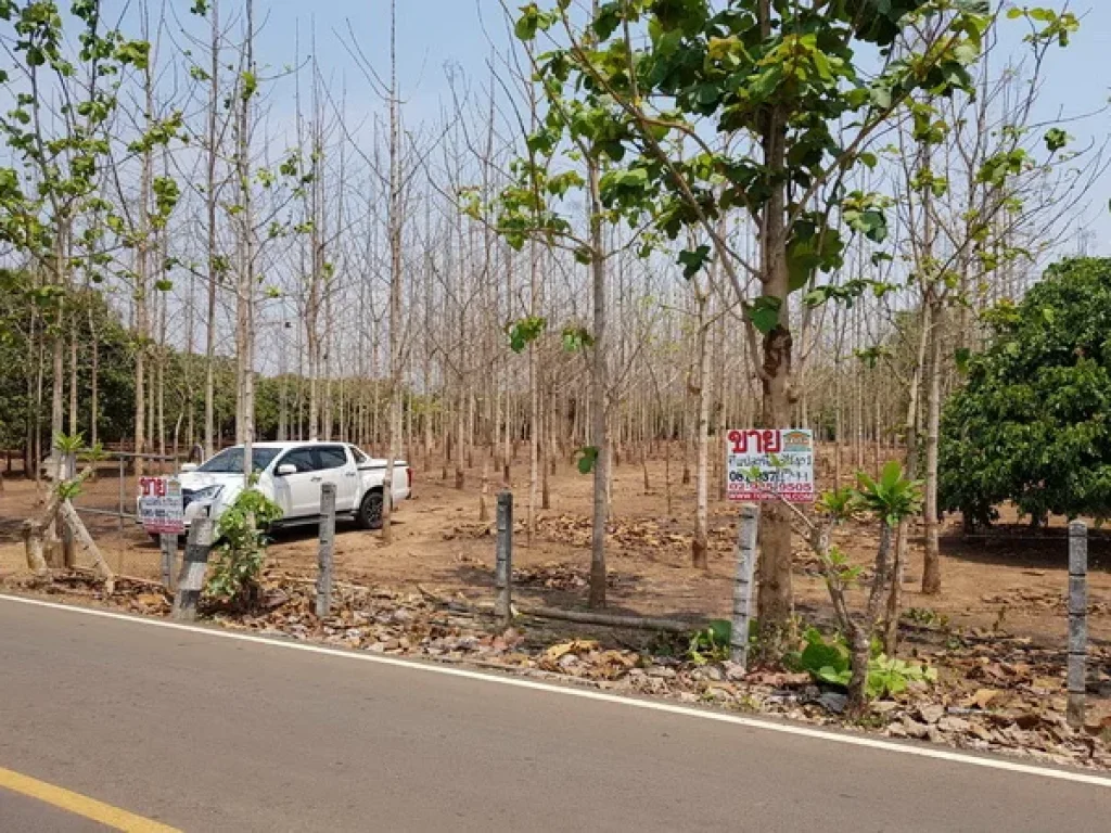 ที่ดิน บ้านมืดกา ถนนเชียงใหม่-ฝาง แม่แตง เชียงใหม่