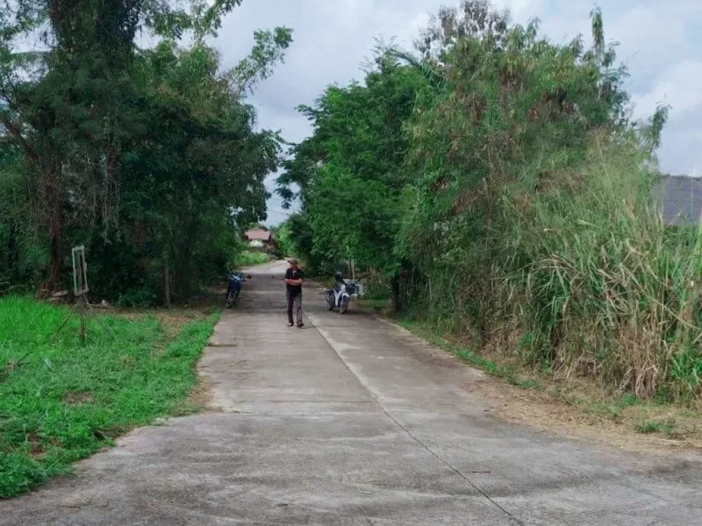 ขายที่ดินหลังตลาดหางดง ห่างตลาด 3 km