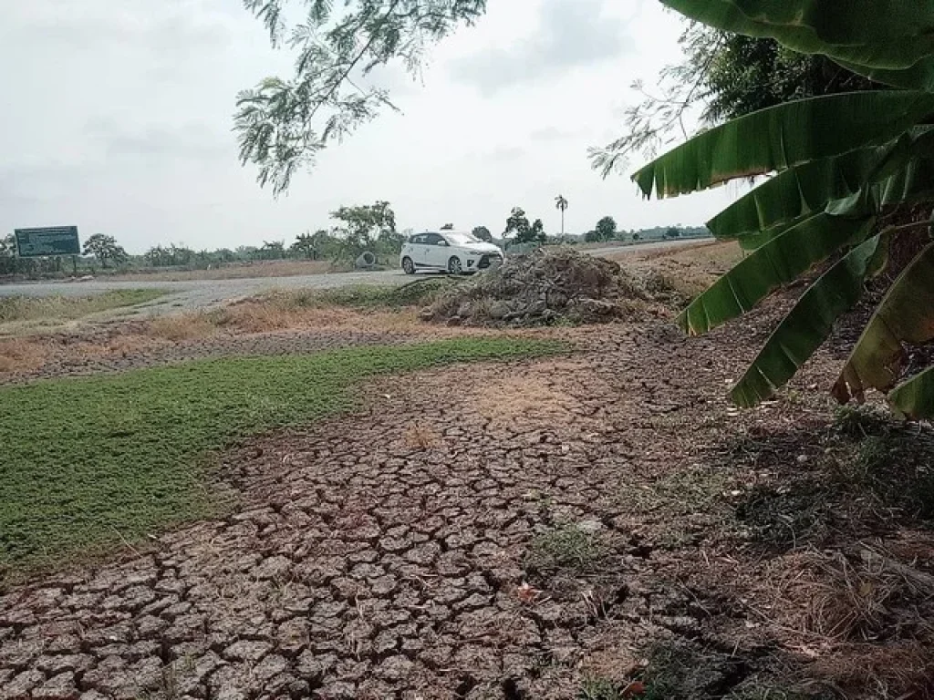 ที่ดิน 20 ไร่ หลัง ม อัสสัมชัญ ABAC บางนา บางเสาธง ถบางนา-ตราด กม 8 ฝั่งติดถนน