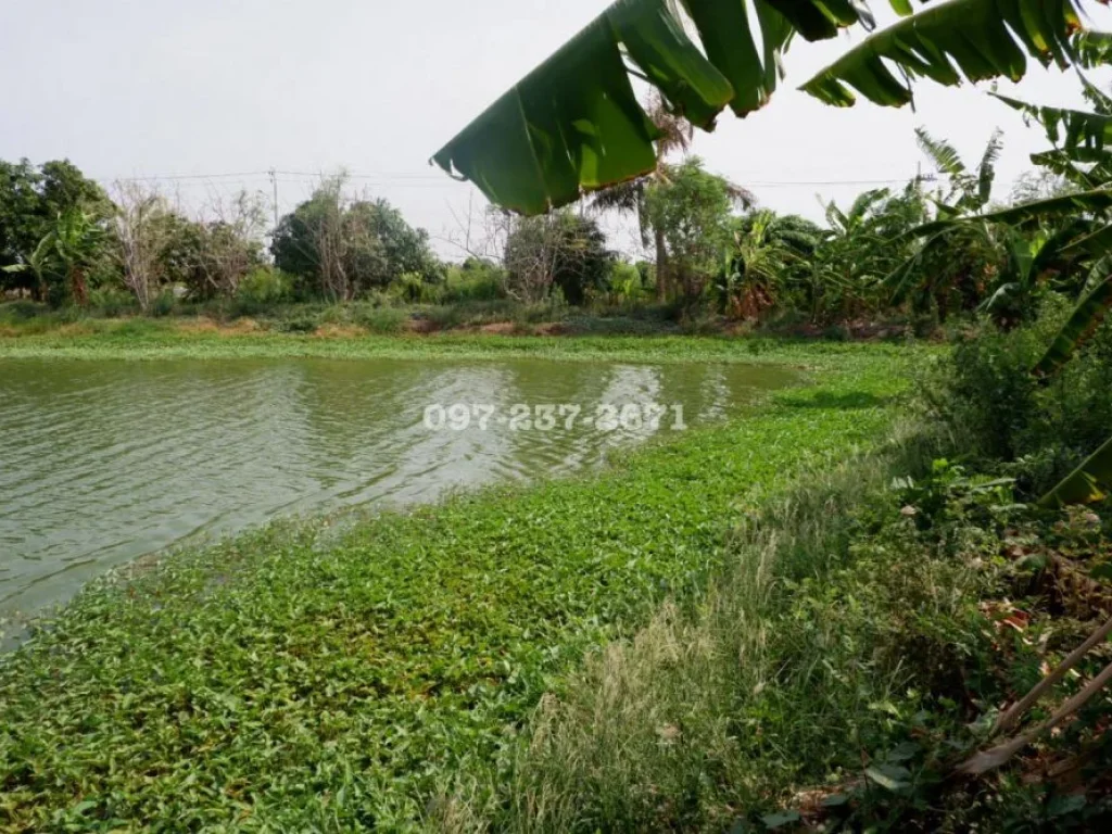 ขายที่ดินใกล้สนามบินสุวรรณภูมิ ซอยวัดศรีฯ