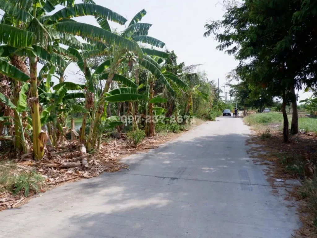 ขายที่ดินใกล้สนามบินสุวรรณภูมิ ซอยวัดศรีฯ