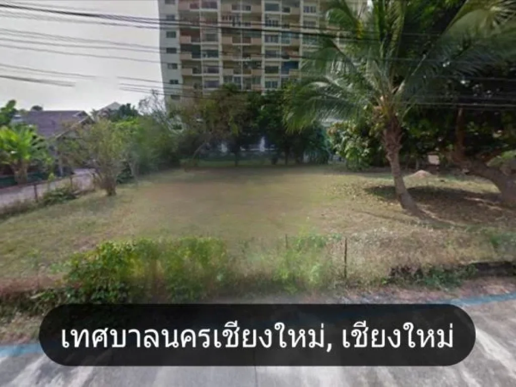 ขายที่ดิน แปลงสวย 294 ตรวใกล้ มเชียงใหม่ ตสุเทพ เมืองเชียงใหม่