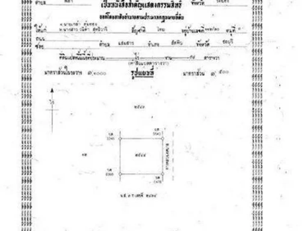 ขายที่ดินเปล่าเนื้อที่ 176 ตารางวา ตรงข้ามตลาดนัดจัตุจักบ้านฉาง ระยอง