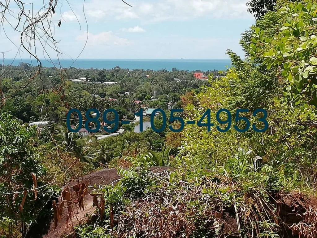 Land For Sale Speacial Price ขายที่ดินสวย วิวทะเล ติดถนนใหญ่ ราคาพิเศษ สนใจติดต่อ 089-105-4953