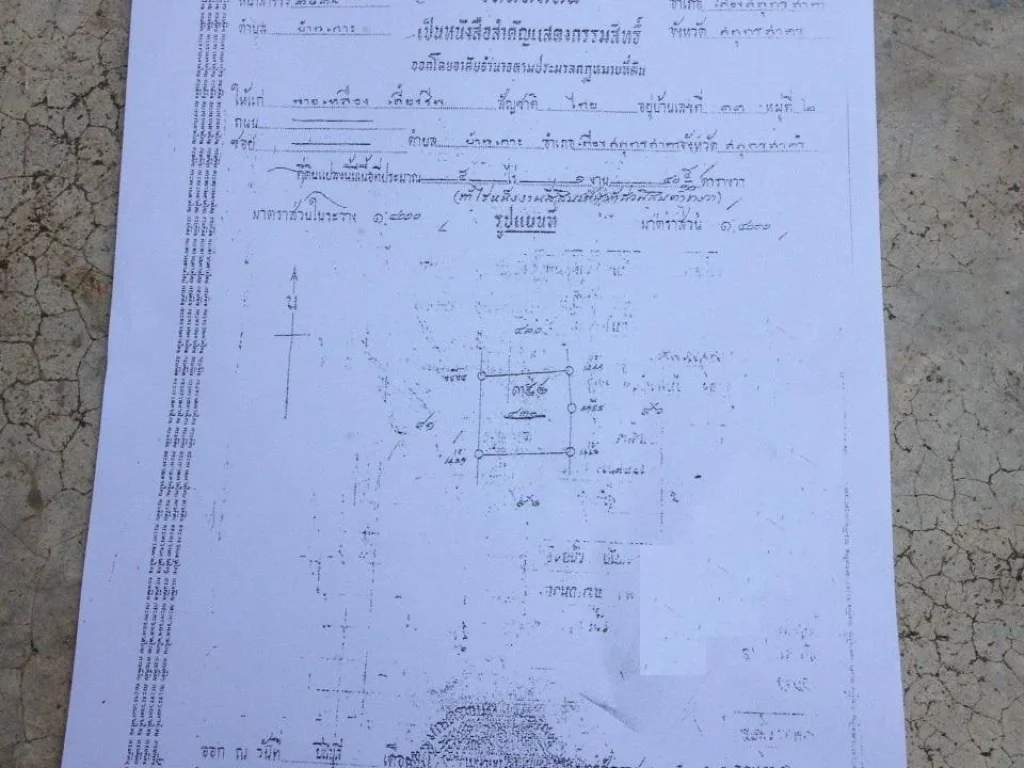 ขายที่ดินสวนแปลงสี่เหลียมสวยติดถนน น้ำ ไฟฟ้า โฉนด 5 ไร่ 1 งานไร่ๆละ 25 ล้าน