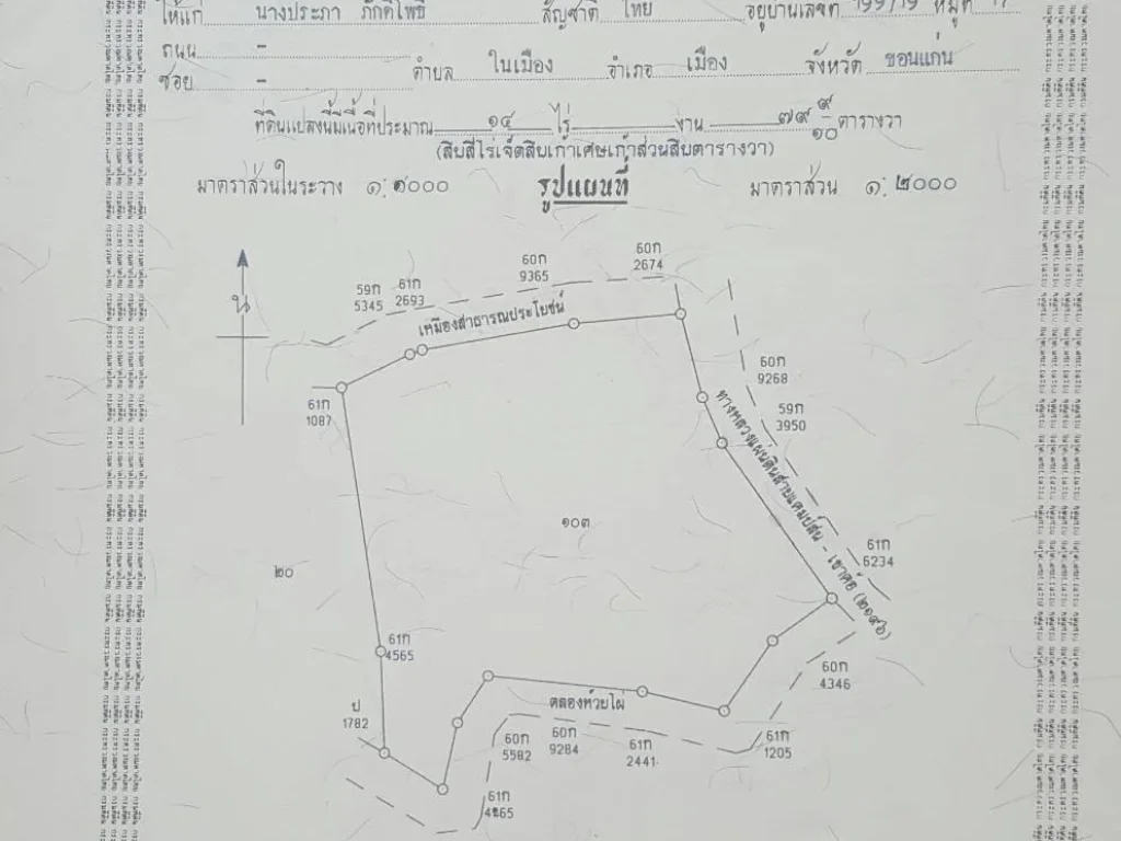 ขายที่ดินเขาค้อ 2ไร่