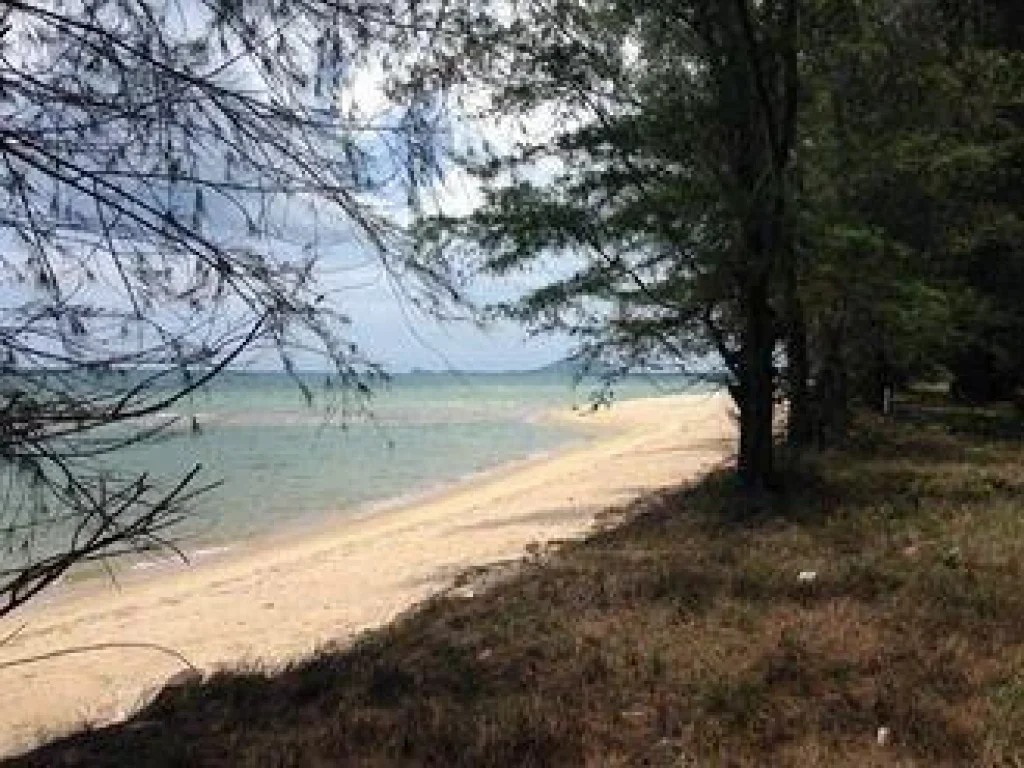 ที่ดินติดชายหาดเงียบเป็นส่วนตัว