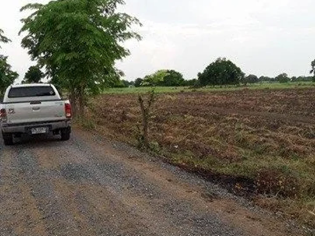 ที่ดินเป็นโฉนด 6 ไร่ หน้ากว้าง 90 เมตร ไฟฟ้าน้ำปะปาพร้อม ไร่ละ 120000