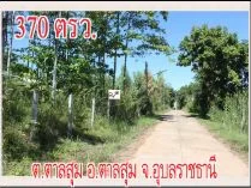 POP-685 ที่ดิน 3 งาน 70 ตรว ตตาลสุม อตาลสุม จอุบลฯ ห่างถนนสมเด็จ ถนน 4005 ไป อตาลสุม 250 ม ราคา 87 แสนบาท