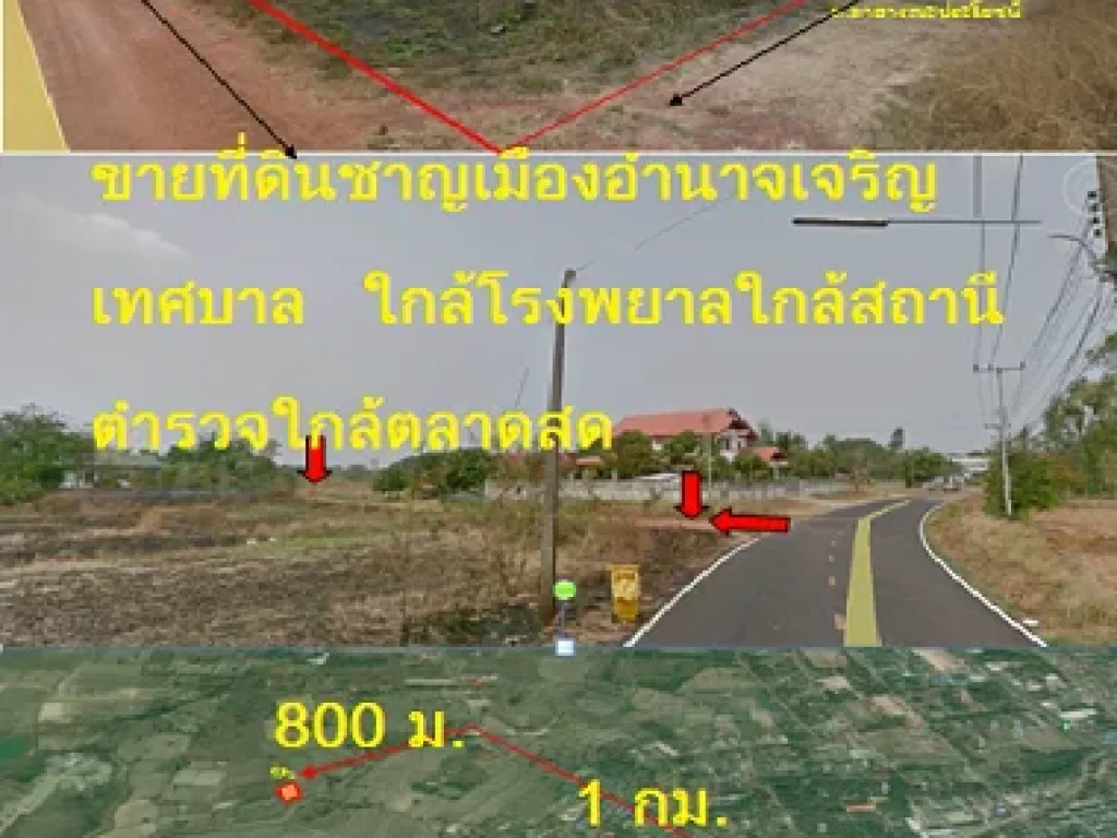 ต้องการขายที่ดินในเขตเทศบาลเมืองอำนาจเจริญ