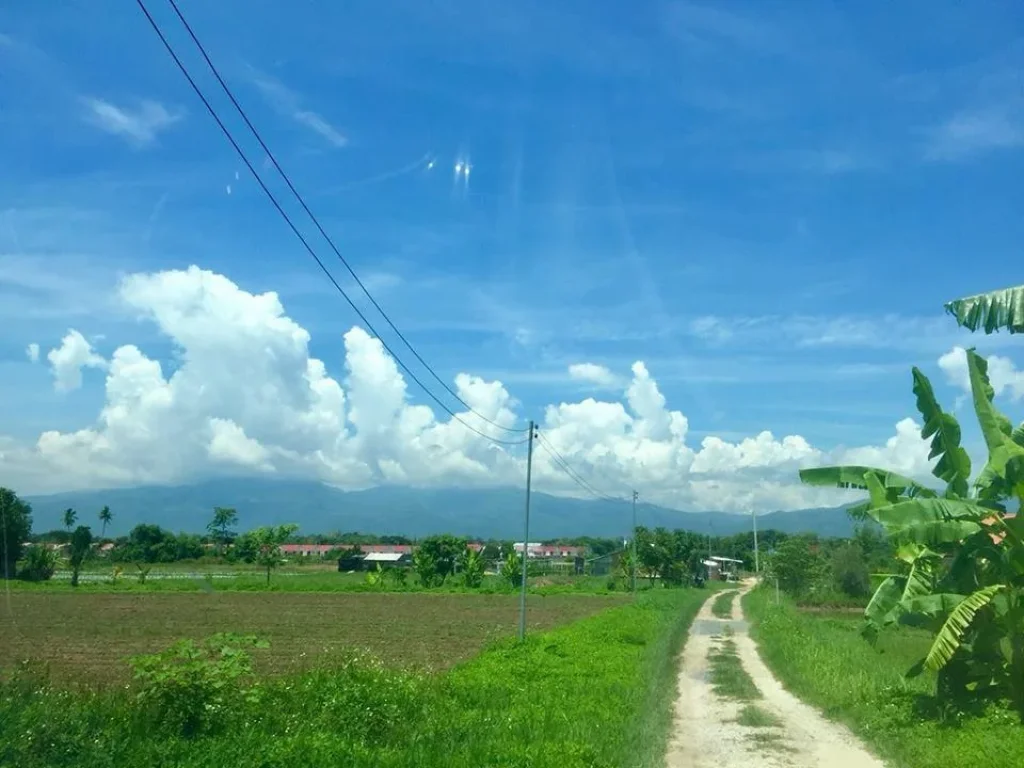 ขายที่ดินงามขน้าดเจ่า 500 ตรวโต้ย วิวดอยอินทนนท์ ถนนเกษตรใหม่ อสันทราย จเชียงใหม่