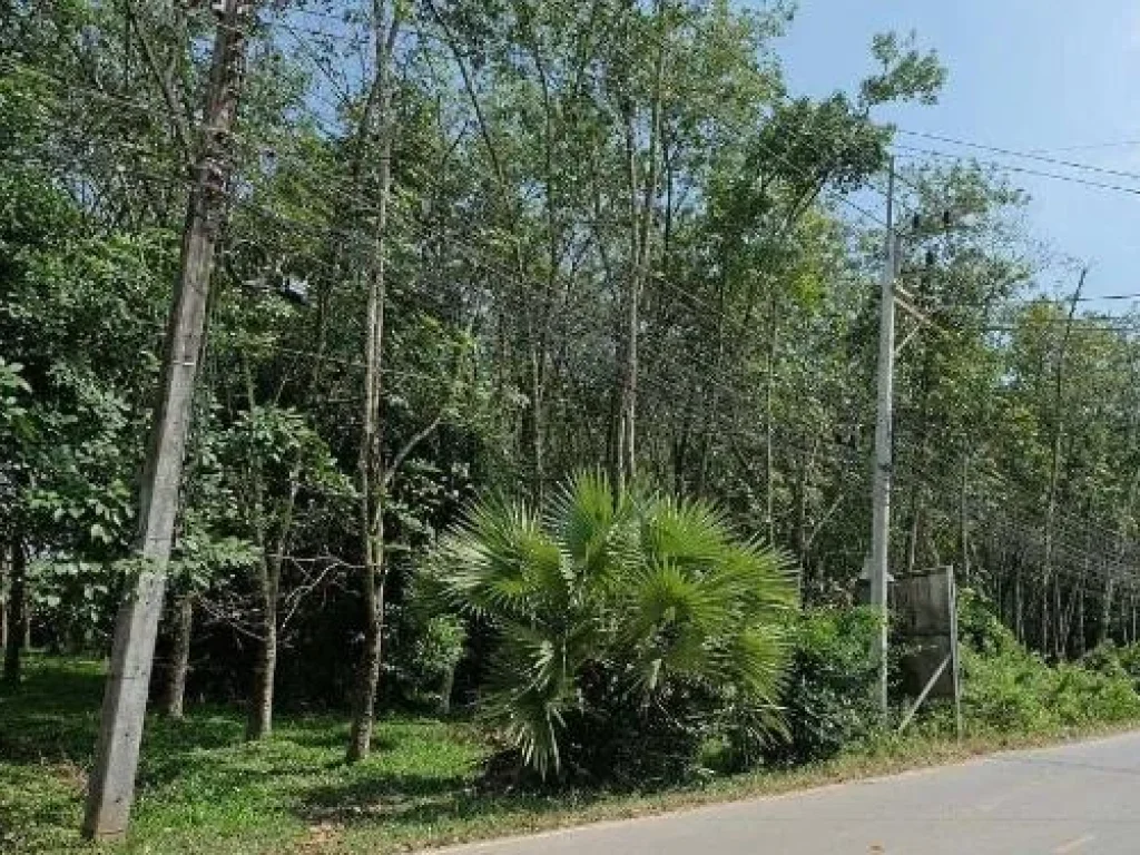 ขายที่ดินทำเลสวย ด้านหน้าติดถนน ด้านหลังติดคลองแห อ หาดใหญ่ จ สงขลา