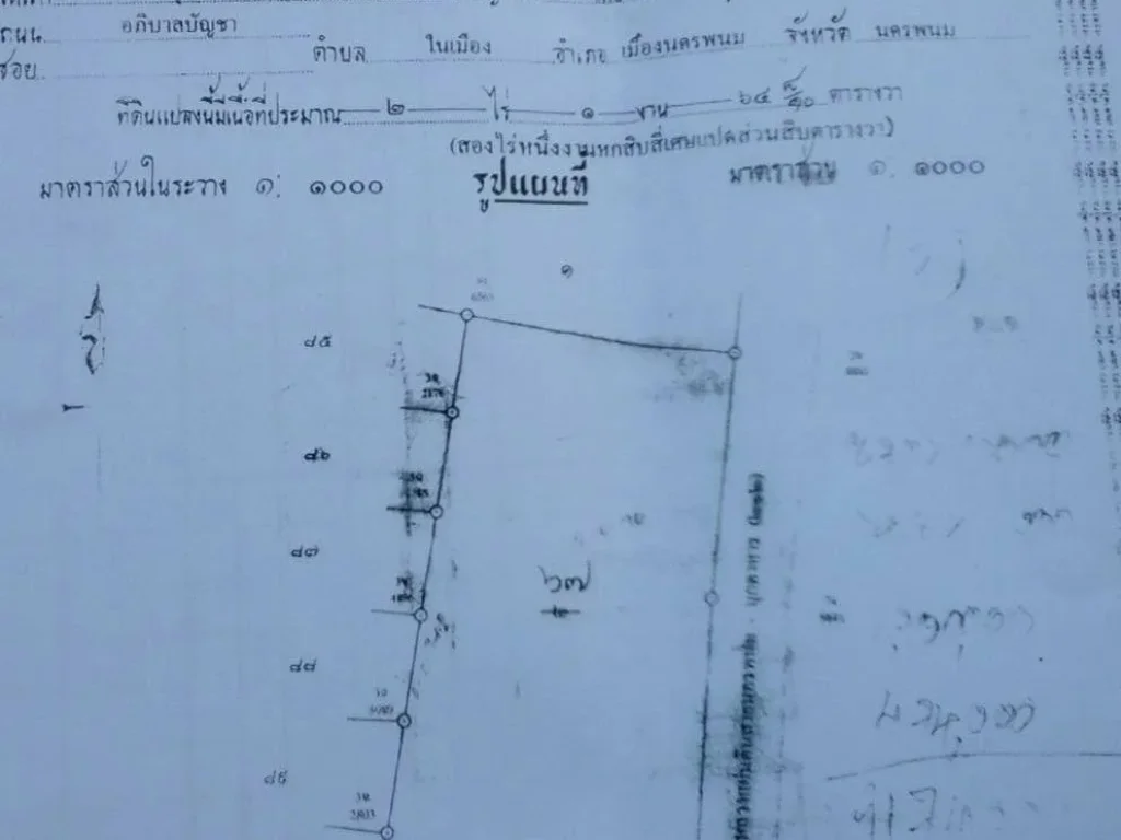 ขายที่ ดิน 2 ไร่ 1งาน 62 ตรว