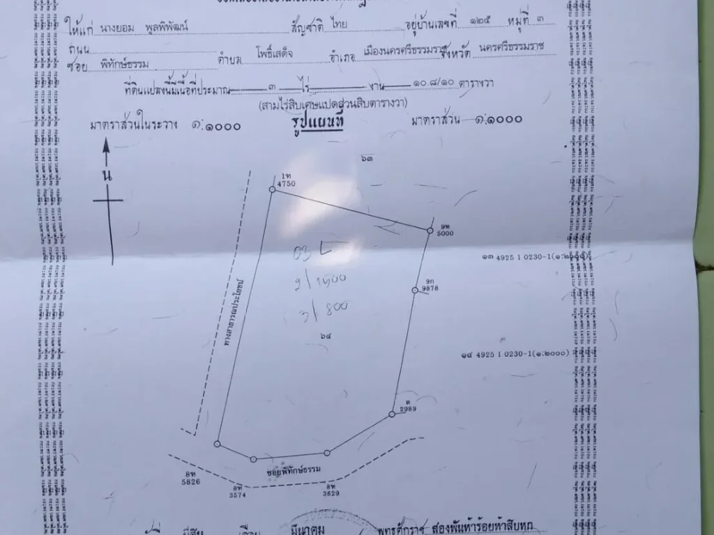 ขายที่ดิน 2 แปลง เขตเทศบาล