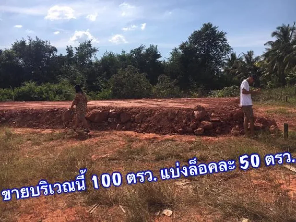 ขายที่ดิน 100 ตรว ทำเลดี ราคาถูก ถมแล้ว พร้อมสร้าง