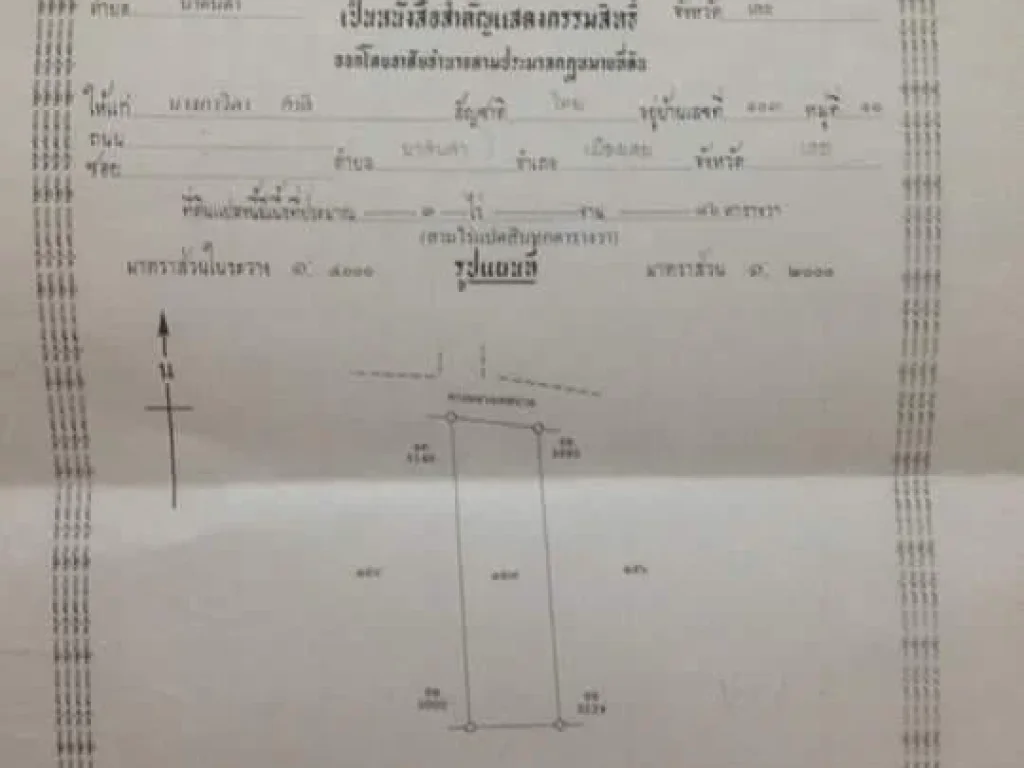 ที่ดินเปล่าเนื้อที่3ไร่86ตารางวา หลังโรงเรียนบ้านห้วยม่วง อเมือง จเลย ยกแปลง5แสน