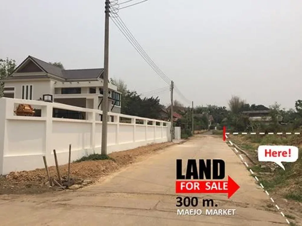 Land for sale 400 sqw near maejo market sansai chiangmai