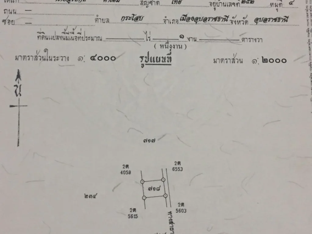 ขายที่ดิน1งานห่างห้วยวังนอง500เมตรราคาถูก