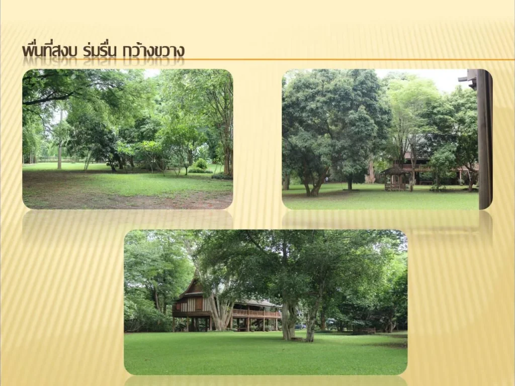 ที่ดินติดแม่น้ำปิง พร้อมบ้านทรงไทยและศาลาเอนกประสงค์