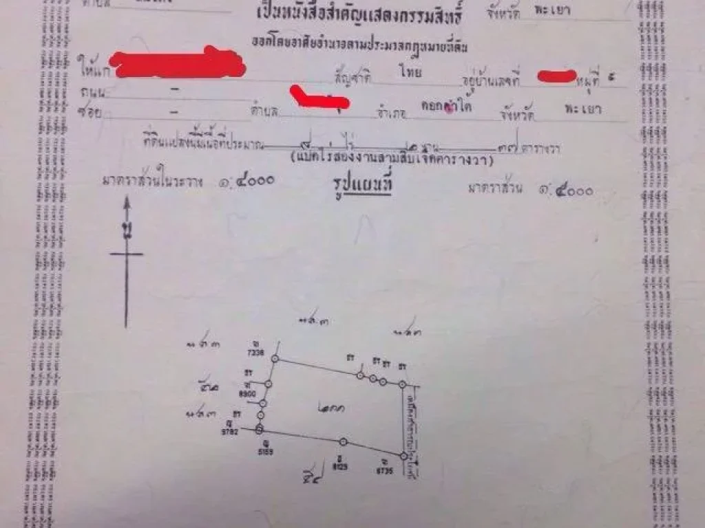 ขายที่นา มีฉโนด ราคาถูก 8 ไร่ 2 งาน 37 ตารางวา