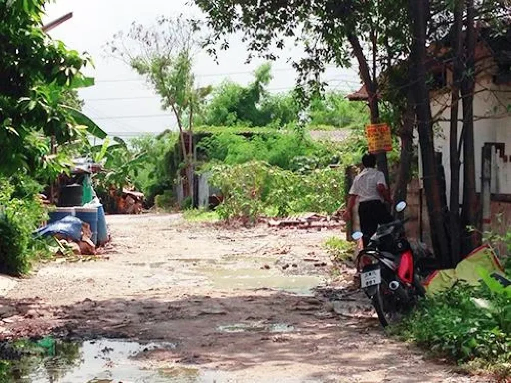 ที่ดิน สุขุมวิท ถมแล้ว เหมาะลงทุนธุรกิจ