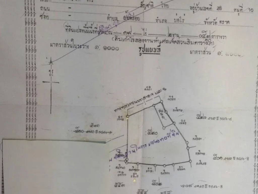 ขายที่ดินเขตเศรษฐกิจพิเศษ