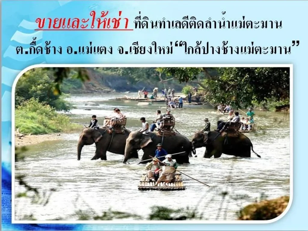 ขายที่ดินสวยใกล้ปางช้างแม่ตะมาน โอบล้อมด้วยธรรมชาติและทิวเขาติดแม่น้ำแม่ตะมาน