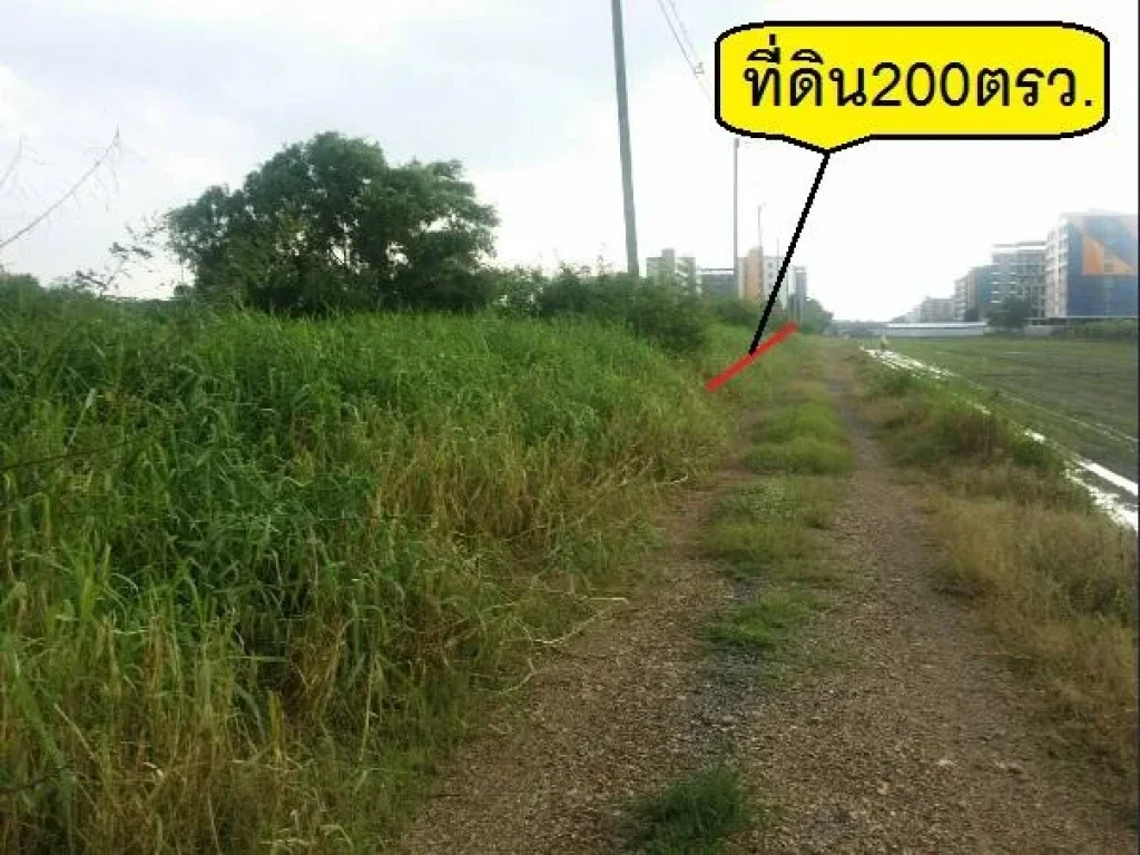 ขายที่ดินทำเลทอง ไกล้มราชมงคลฯคลองหก 200ตรว