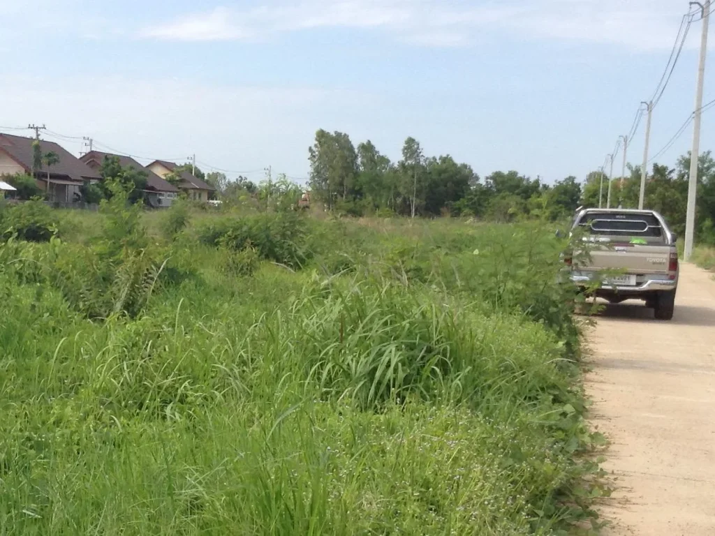 ที่ดิน 1 ไร่ บริเวณ มอุบล