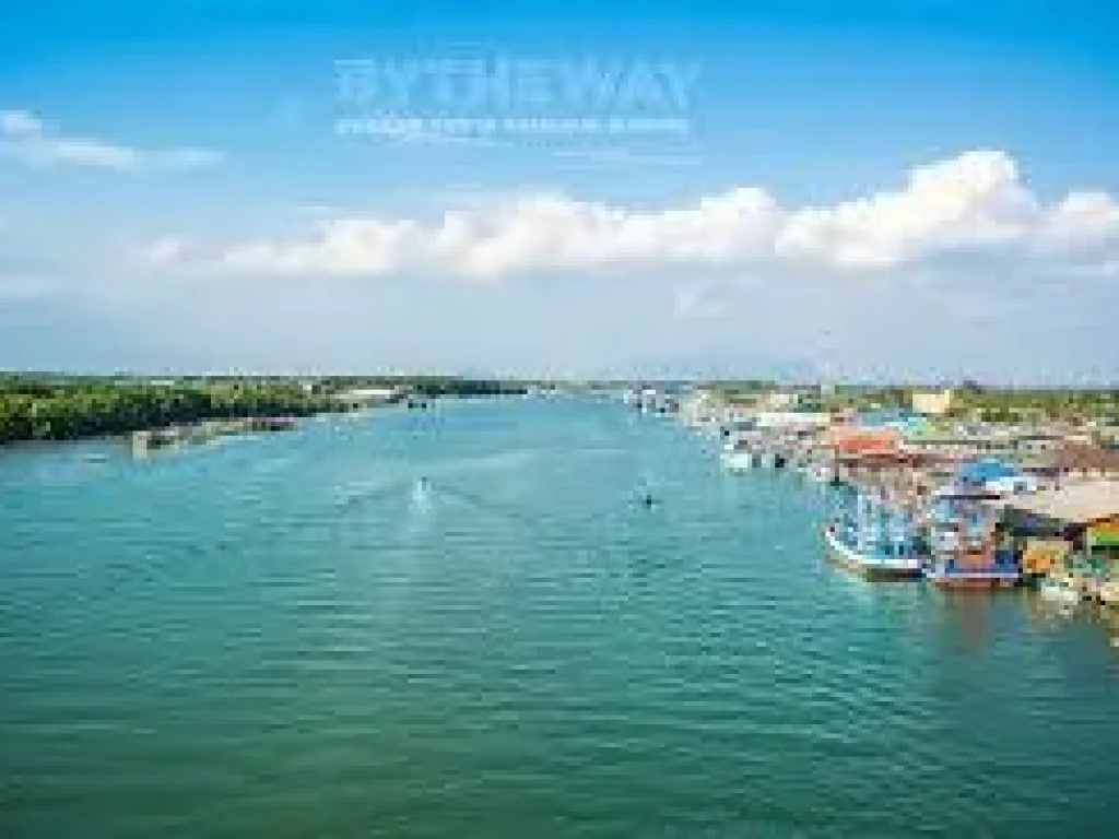 ขายที่ติดแม่น้ำประแสร์ ทำโฮมสเตย์ หรือ ท่าเรือจอดเรือยอร์ท 4 ไร่