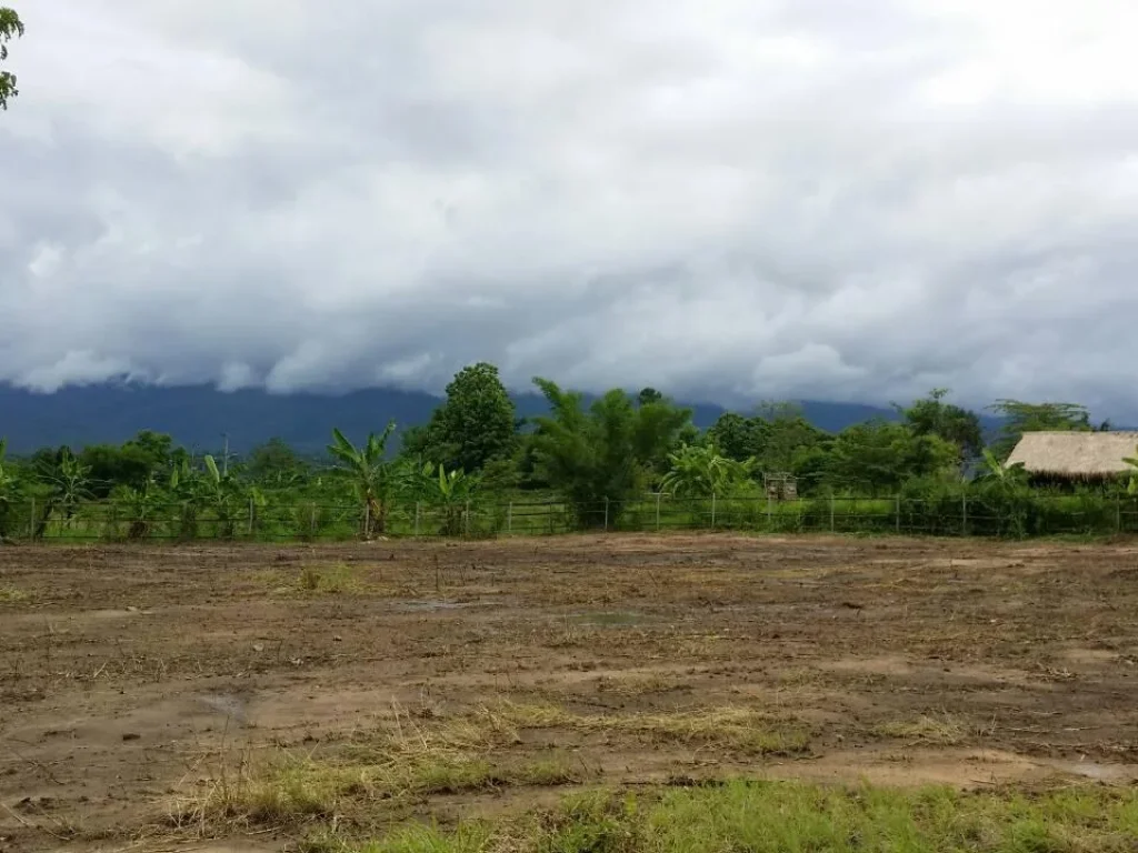 ที่ดินสวยใกล้ธรรมชาติไม่ไกลจากตัวเมือง