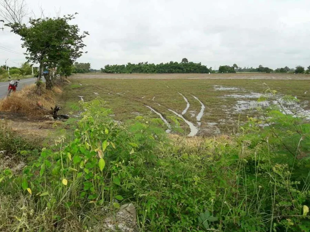 ขายที่ดินสวย ตหนองแขม อหนองแค จสระบุรี