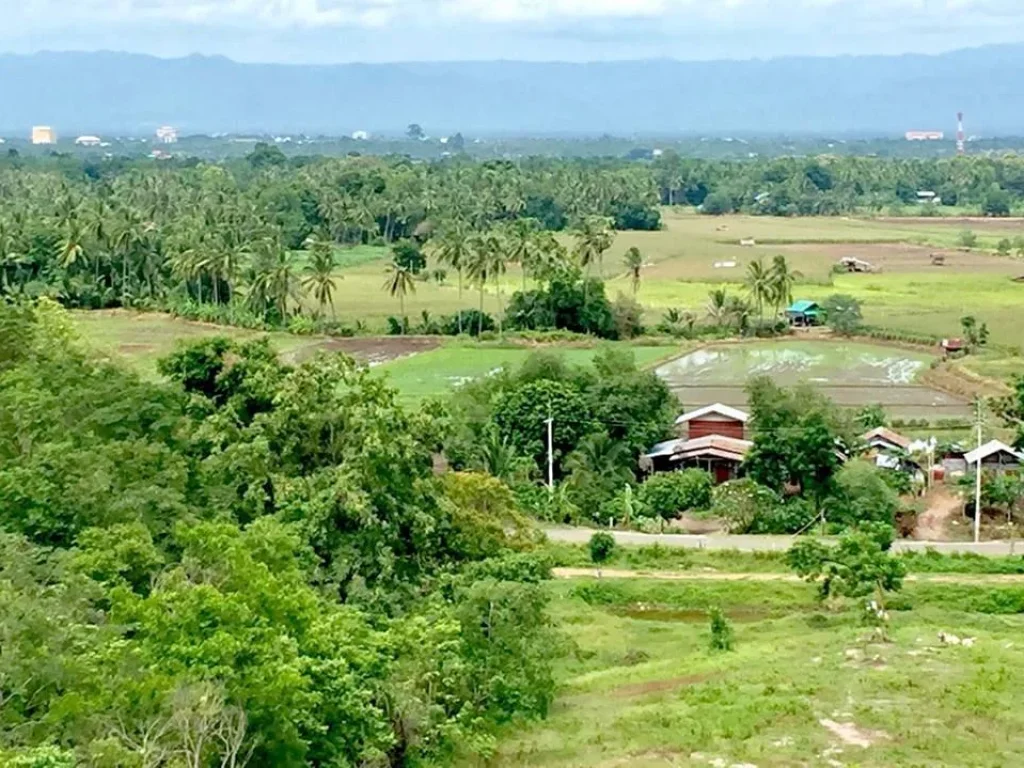 ขายที่ 16 ไร่ อเมืองเพชรบูรณ์ ที่สวย มีลักษณะเป็นเนินเขา