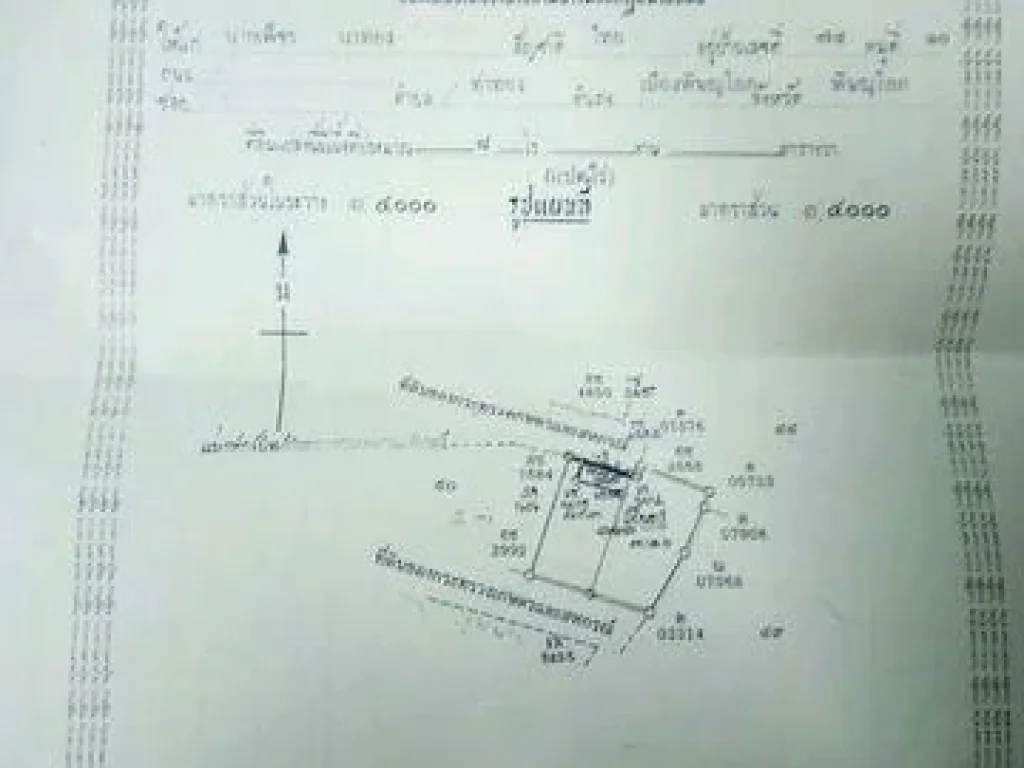 ขาย ที่ดินเปล่า อเมือง จพิษณุโลก เนื้อที่ 15 ไร่ พร้อมโฉนด