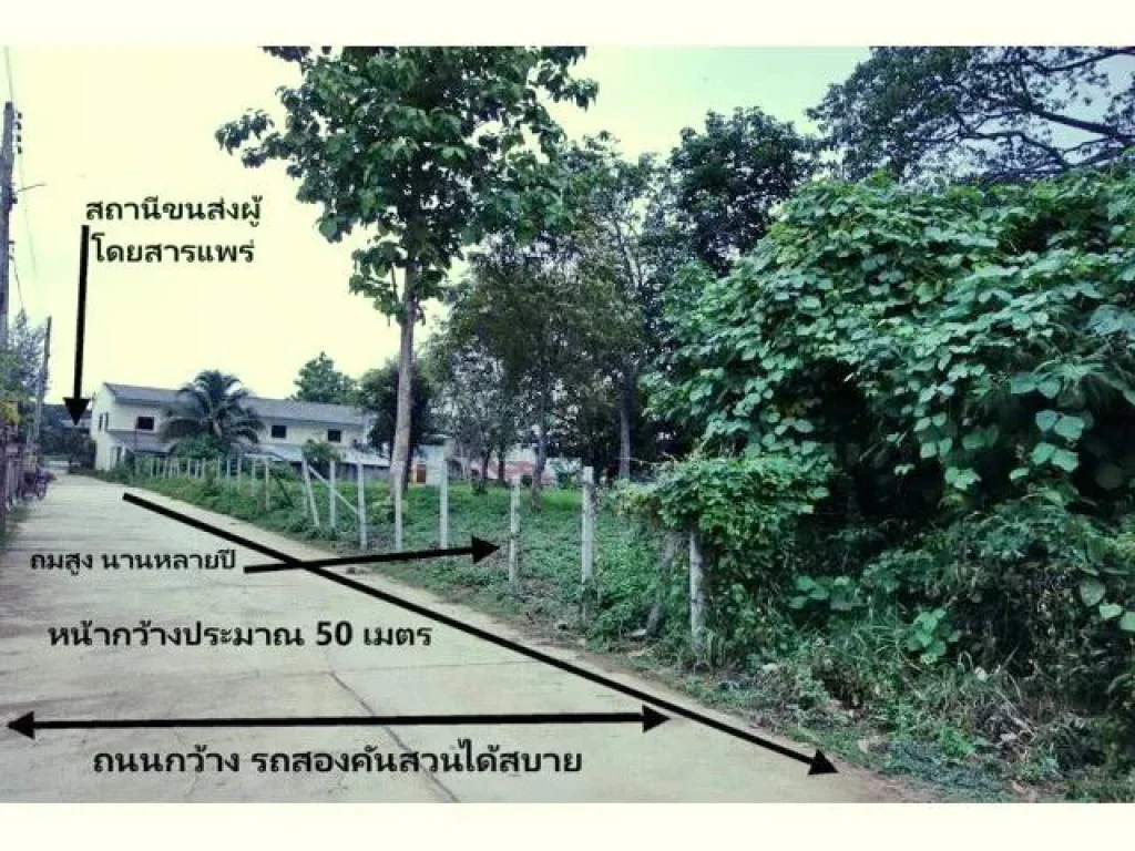 ขายที่ดินใจกลางเมืองแพร่