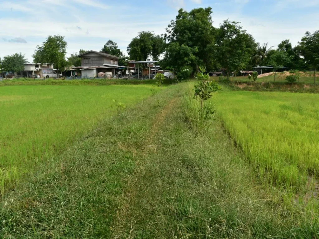 ที่ดินใกล้โรบินสันร้อยเอ็ด