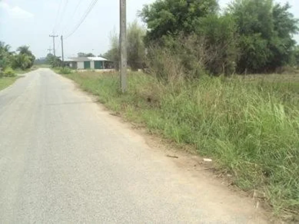 ที่ดิน 18 ไร่เศษๆหนองเขิน ย่านชุมชน ใกล้สี่แยกหนองชาก