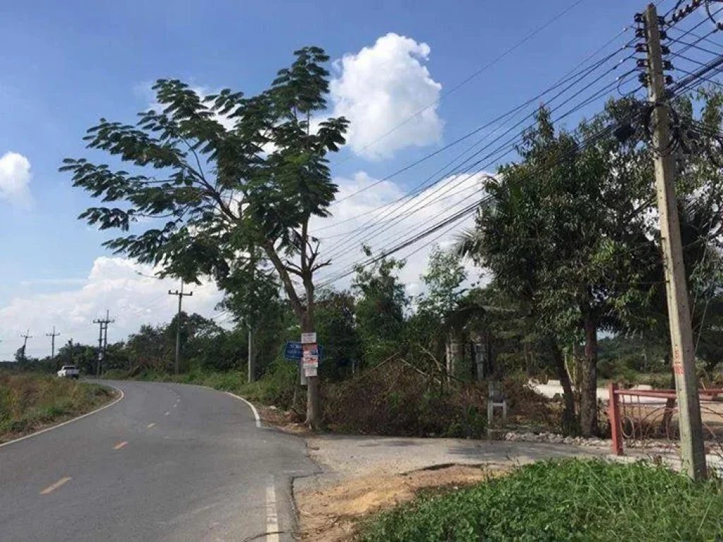 LS807 Land for sale in Sanpatong Chiangmai