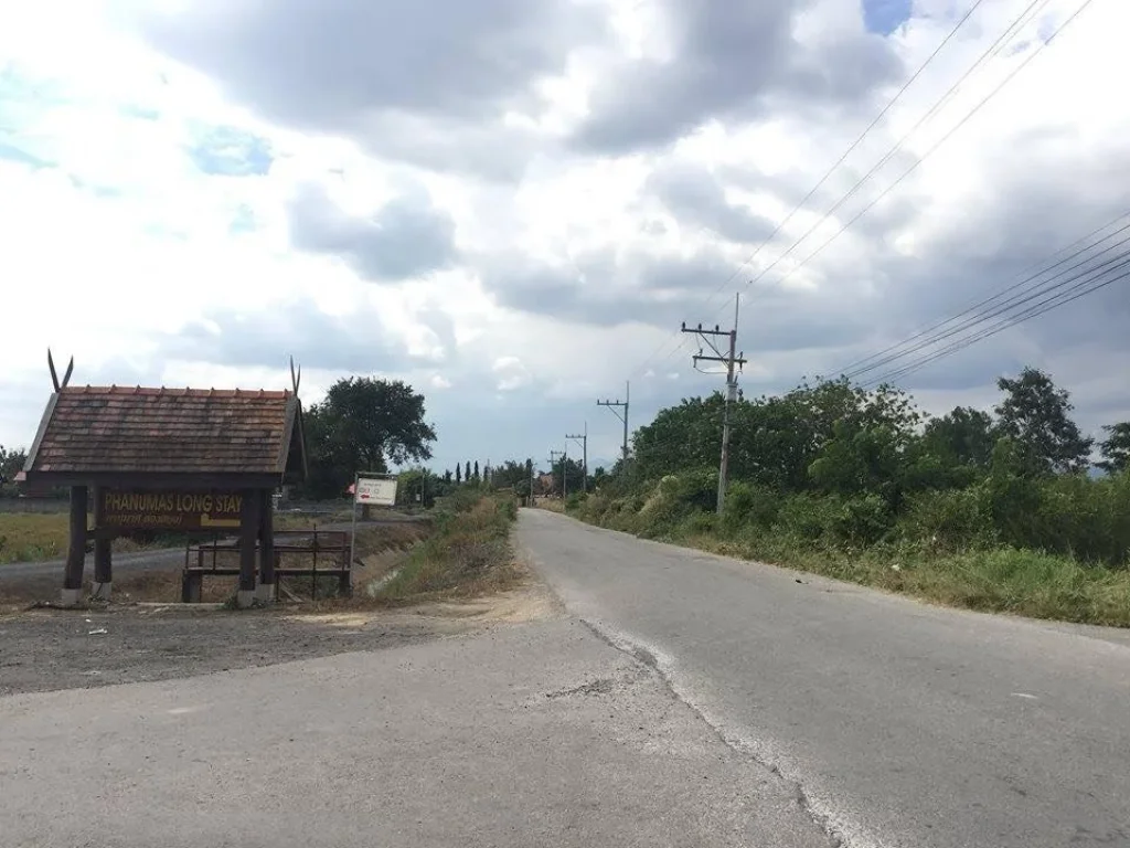 LS806 Land for sale in Sanpatong