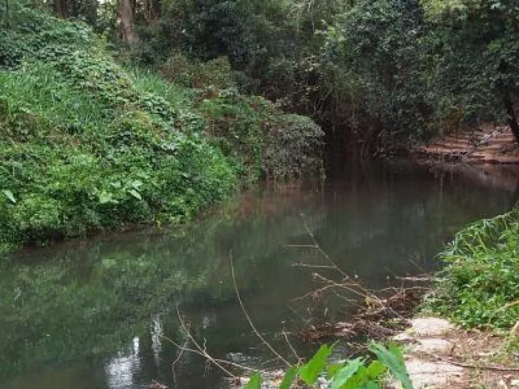 LAND SURROUNDED RIVER WITH LARGE GARDEN FIELDS PAK CHONG VERY CLOSED DOWN TOWN