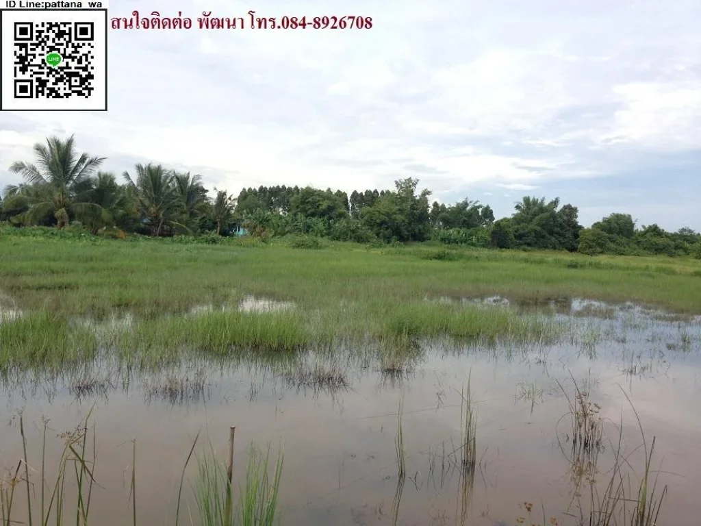 ด่วนขายที่นาหลังนิคมไฮ-เทค กบินทร์บุรี จปราจีนบุรี เนื้อที่ 4 ไร่