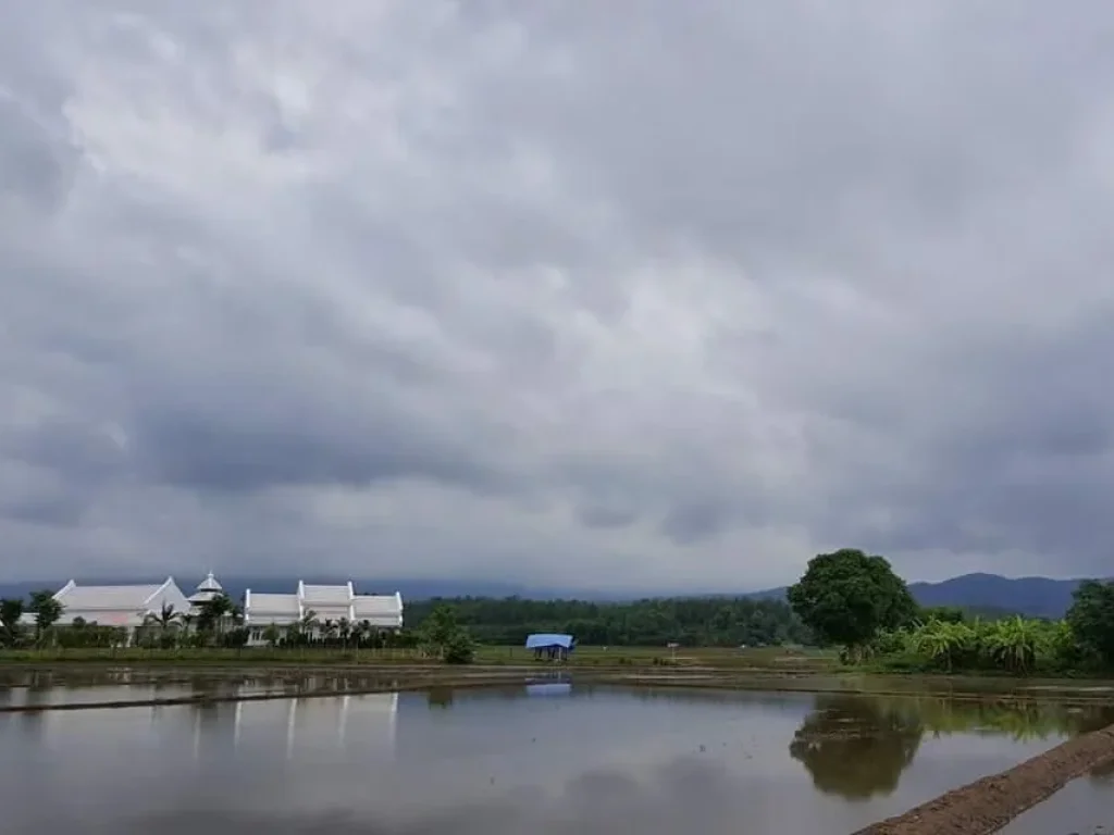 ขายที่สวน วิวเขา วิวทุ่งนา สวยมาก โฉนด ไฟน้ำพร้อม ที่ตั้ง ตห้วยทราย อแม่ริม จเชียงใหม่ เนื้อที่ 5 ไร่เศษ ต้องการขายยก