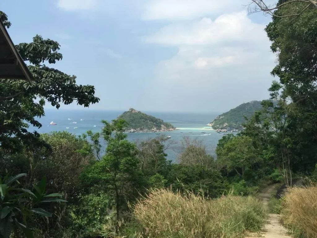 ขายที่ดินใน เกาะเต่า land for sale in koh Tao